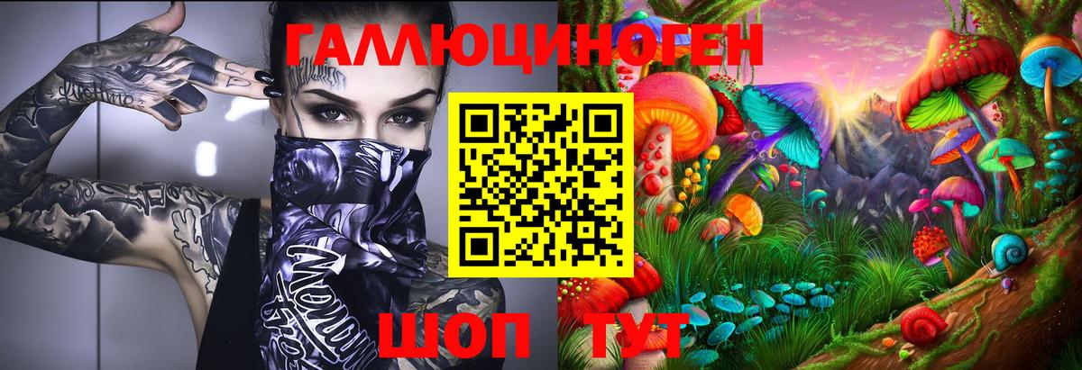 Галлюциногенные грибы мухоморы Усть-Джегута