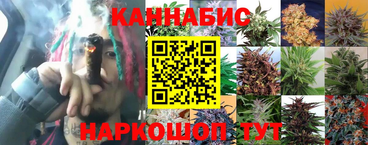 Усть-Джегута  Канабис Amnesia  Вход с VPN  Бошки марихуана Amnesia  МАРИХУАНА конопля 